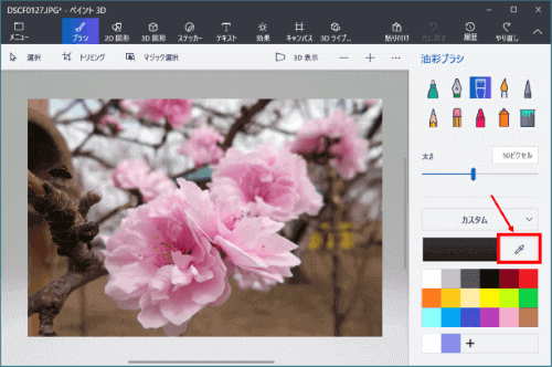ペイント3Dで花から色を抽出するところ