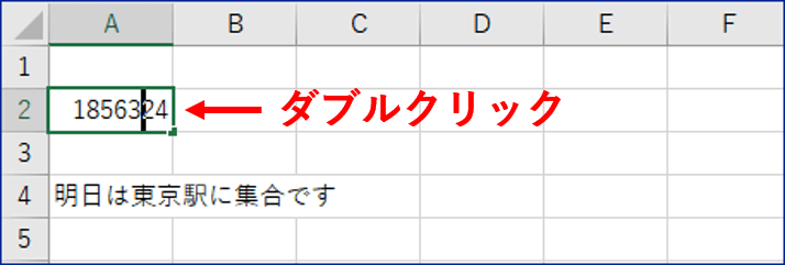 セルをダブルクリックした状態