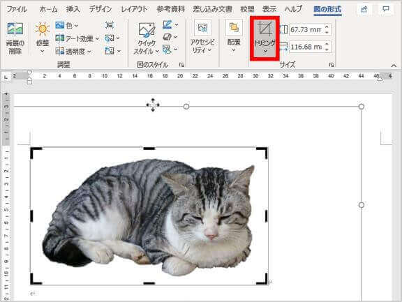 図の形式タブ　トリミング