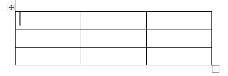 挿入した段階での表罫線