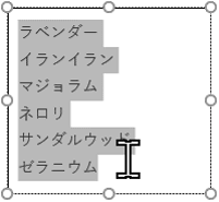 テキストボックス内の文字列を選択したところ