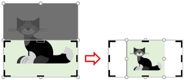 枠に合わせるの適用例