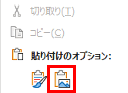 貼り付けオプション