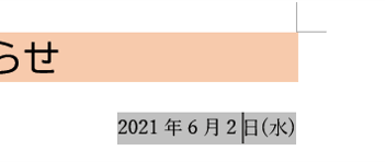 フィールドの網かけ表示