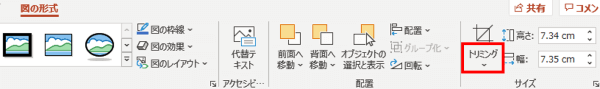 図の形式タブ　トリミング