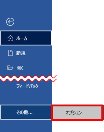 Word その他のオプション　オプション