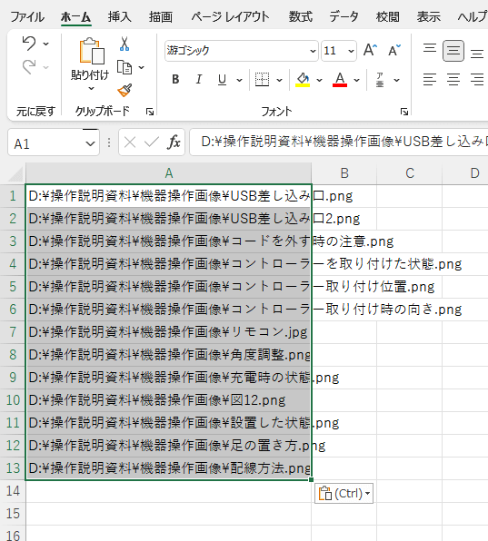ワークシートにパスが貼り付けられた状態