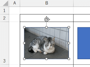 図形が画像で塗りつぶされた状態