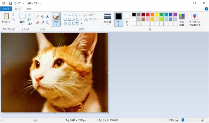 ペイントで画像を開いた状態